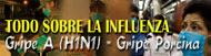Información sobre la influenza A H1N1