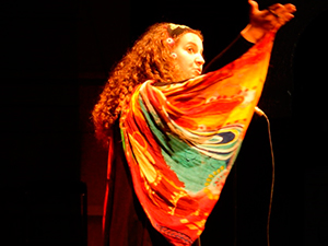 V FESTIVAL INTERNACIONAL DE CONTADORES DE HISTORIAS NARRARTE