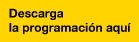 Descarga de programa