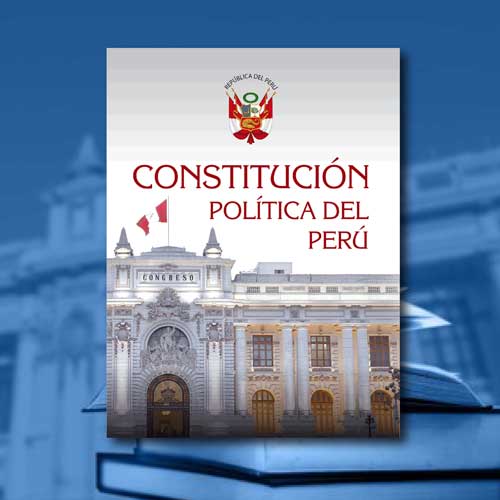 Capítulo V de la Constitución