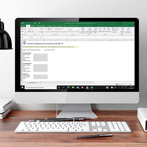 Formatos SIB-FTP