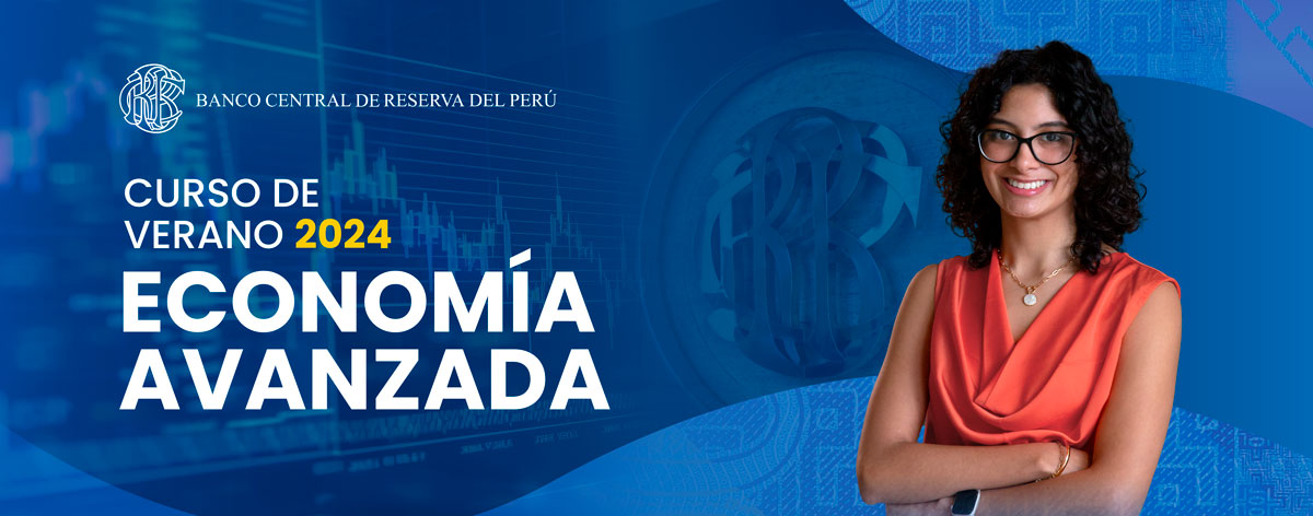 Curso de Economía Avanzada 2024