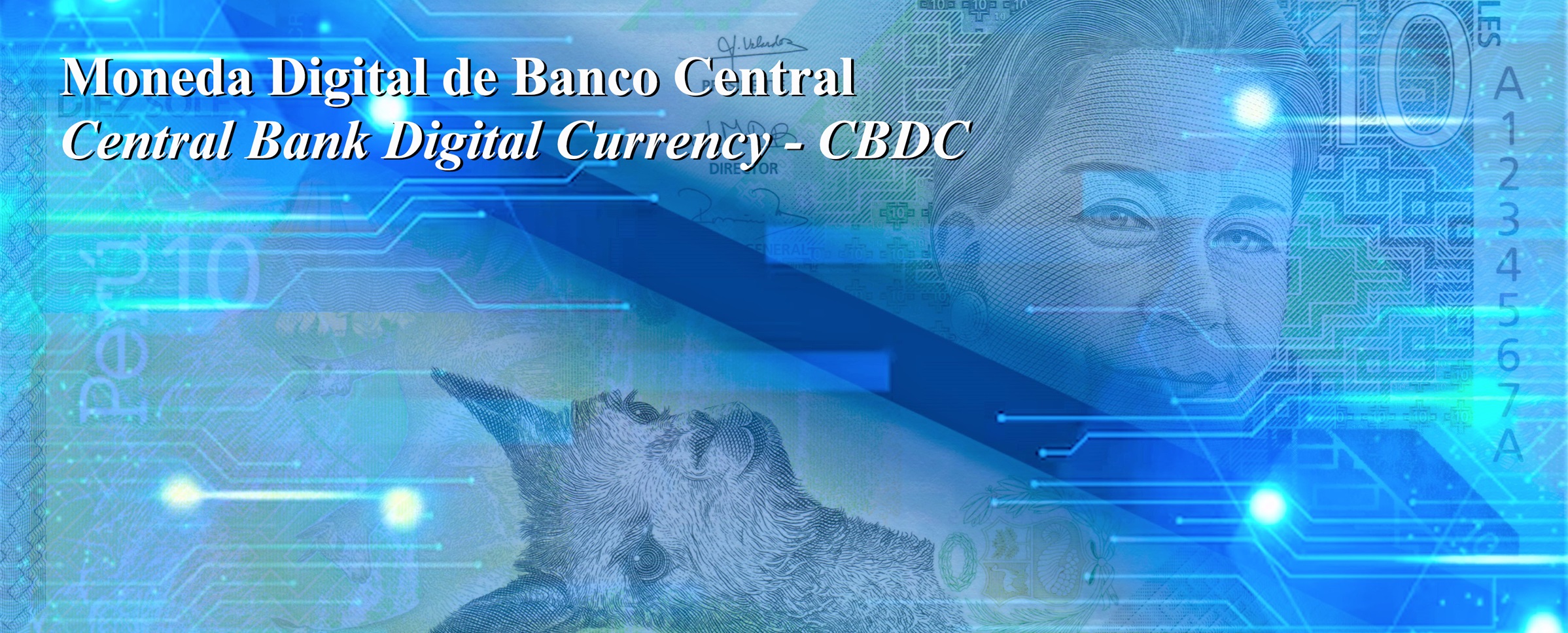 Central Bank Digital Currency