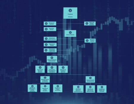 Organization