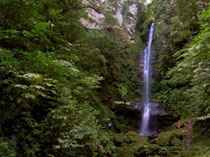 Cataratas Ahuashiyacu - San Martín