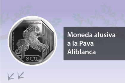 Moneda alusiva a la Pava Aliblanca